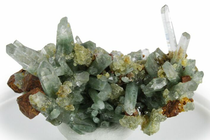 Chlorite Included Quartz Crystals with Pyrite - Peru #347793